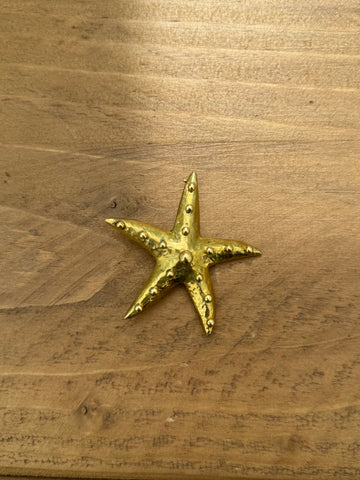 Seastar brass brooch