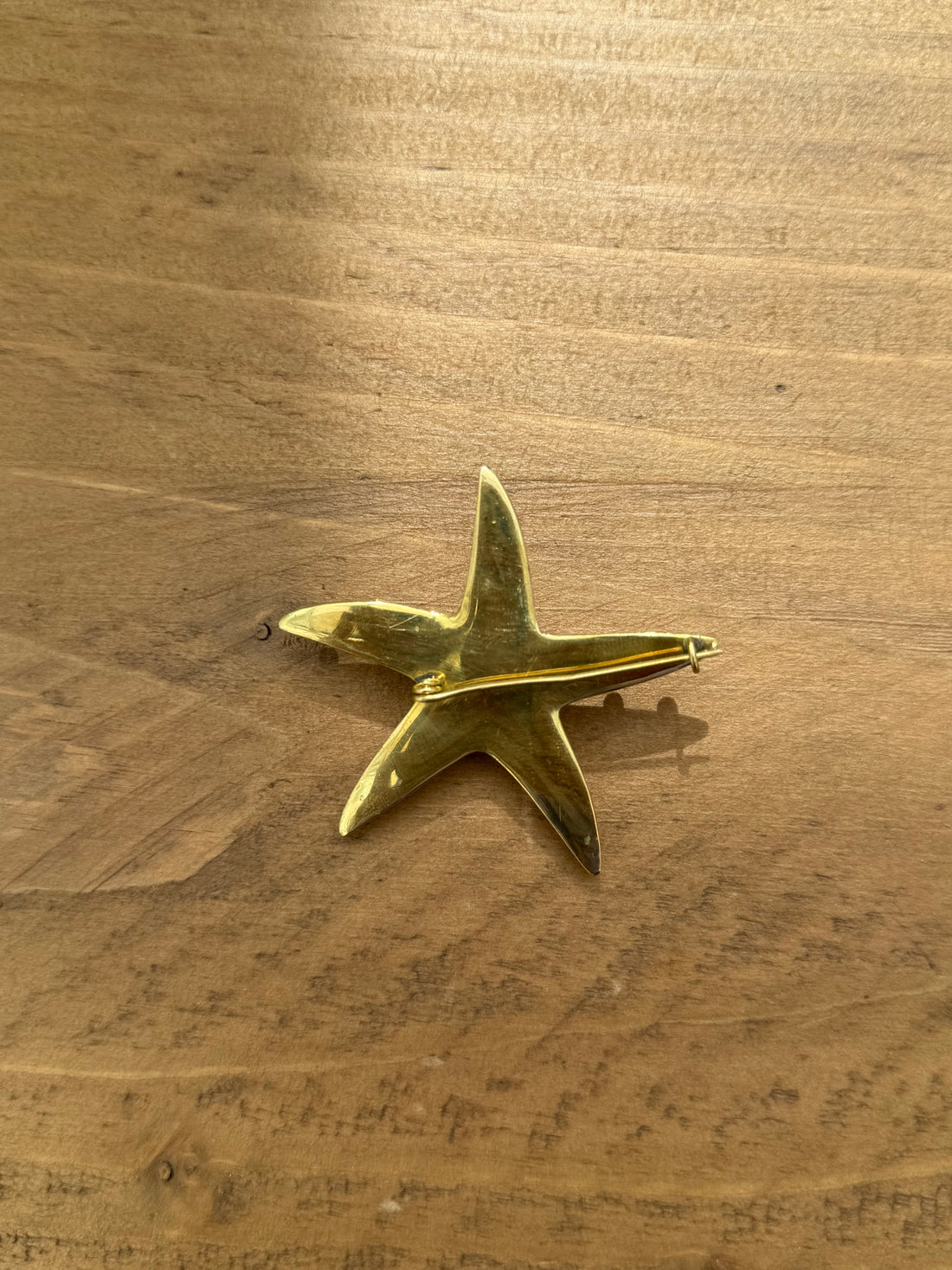 Seastar brass brooch